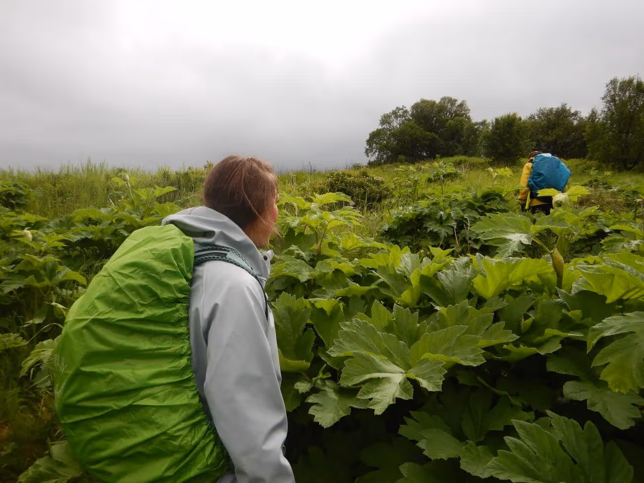 Two hikers with large backpacks walking through dense green foliage under a cloudy sky.