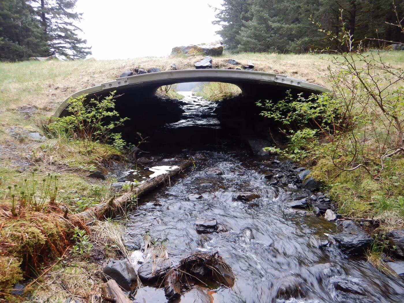 Stream flowing under a small grass-covered bridge surrounded by green shrubs and trees.