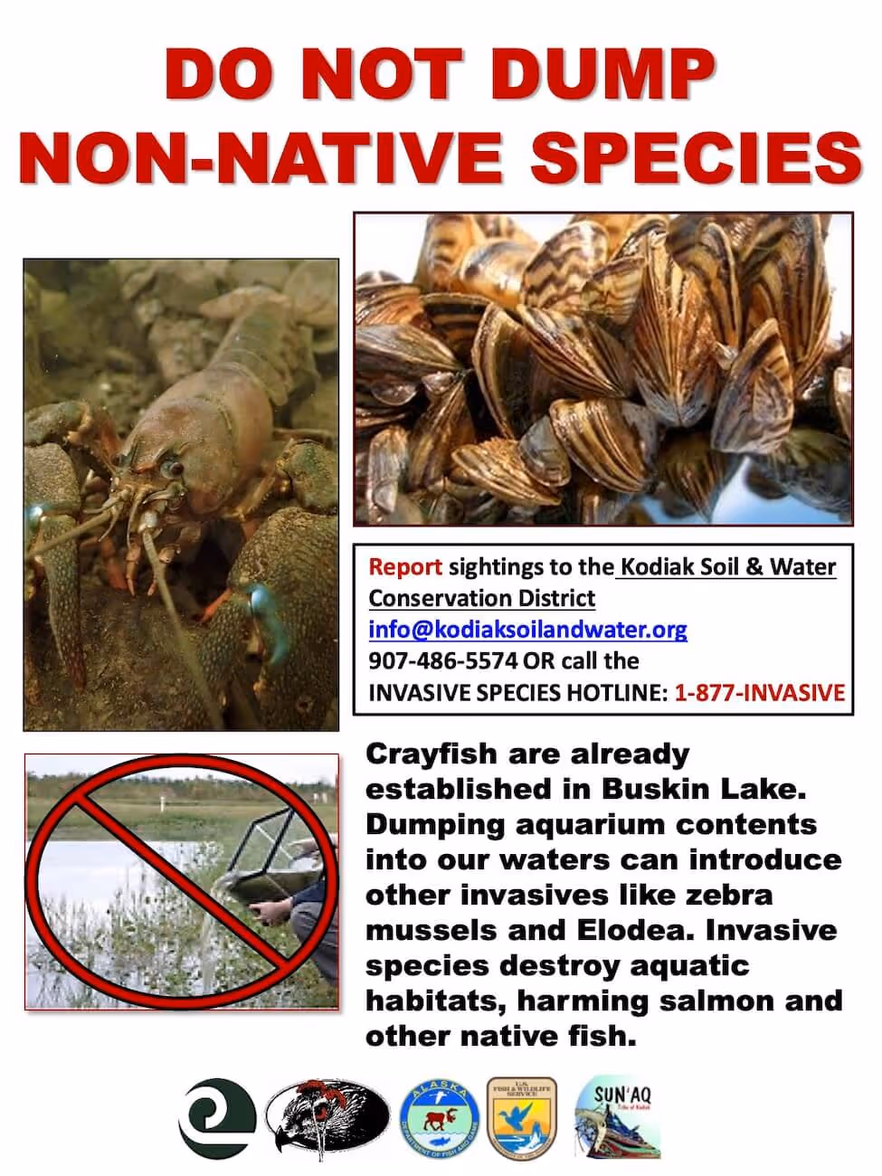 Poster warning against dumping non-native species, showing images of a crayfish and zebra mussels, with contact info for Kodiak Soil & Water Conservation District and text about invasive species harming aquatic habitats and native fish.