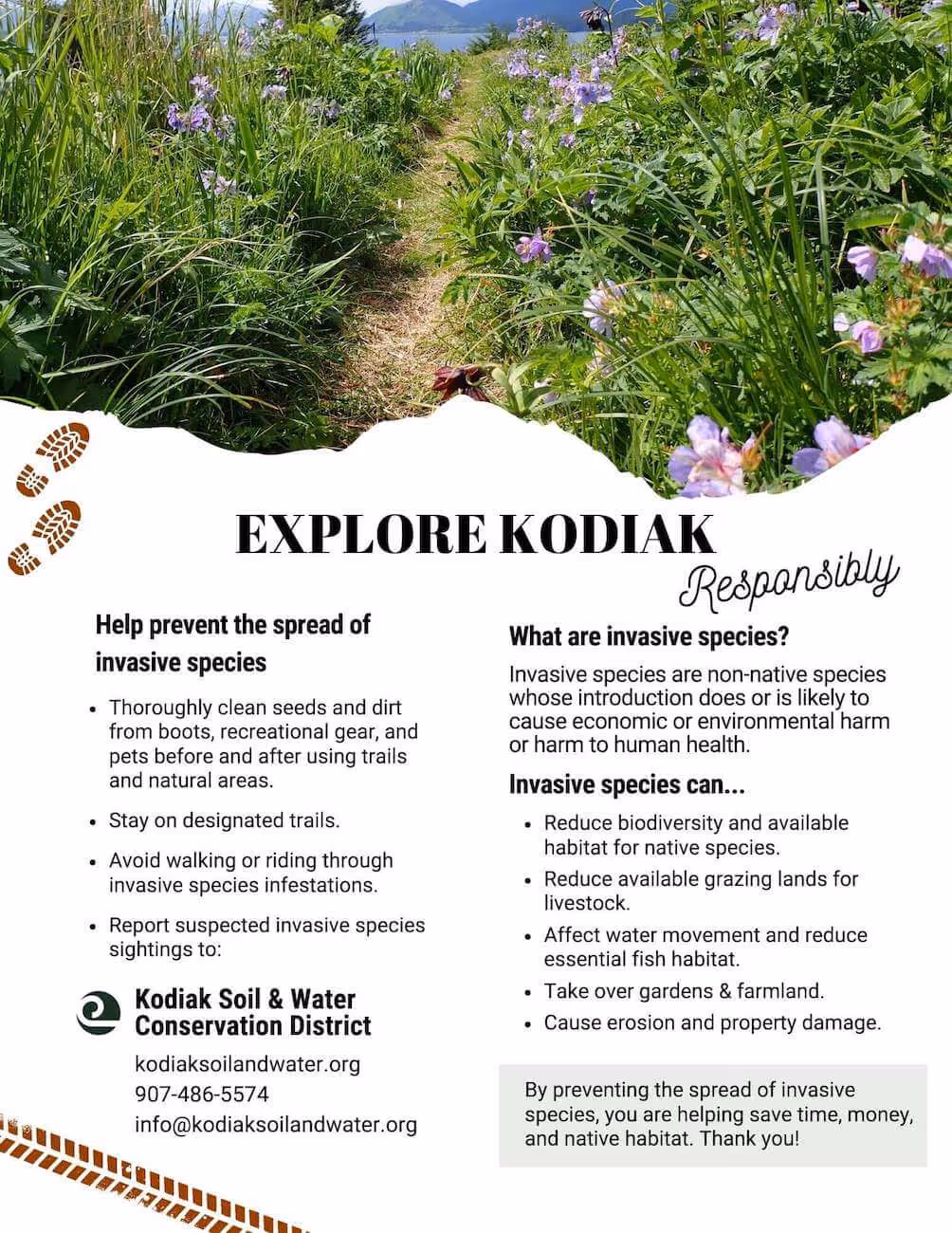Informational flyer titled 'Explore Kodiak Responsibly' with a nature trail photo of green plants and purple flowers, providing tips to prevent the spread of invasive species, definitions, impacts, and contact details for Kodiak Soil & Water Conservation District.