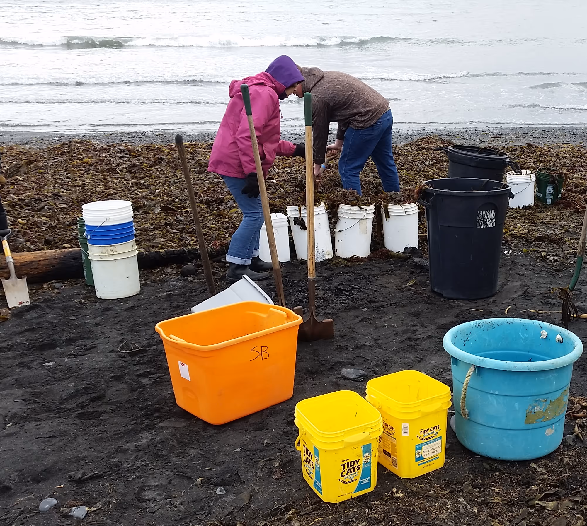 Two people working on a beach with shovels and buckets, surrounded by seaweed and containers.