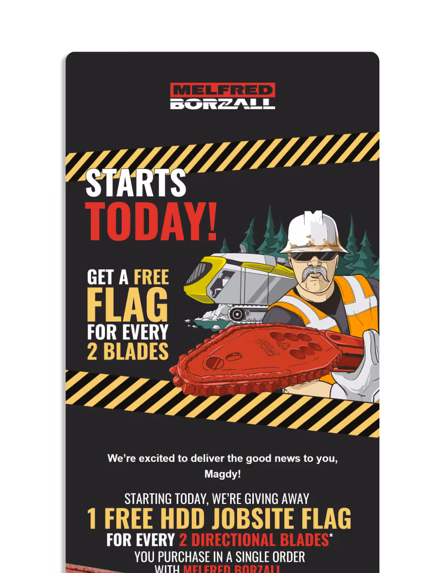 Get a Free Flag - Melfred Borzall
