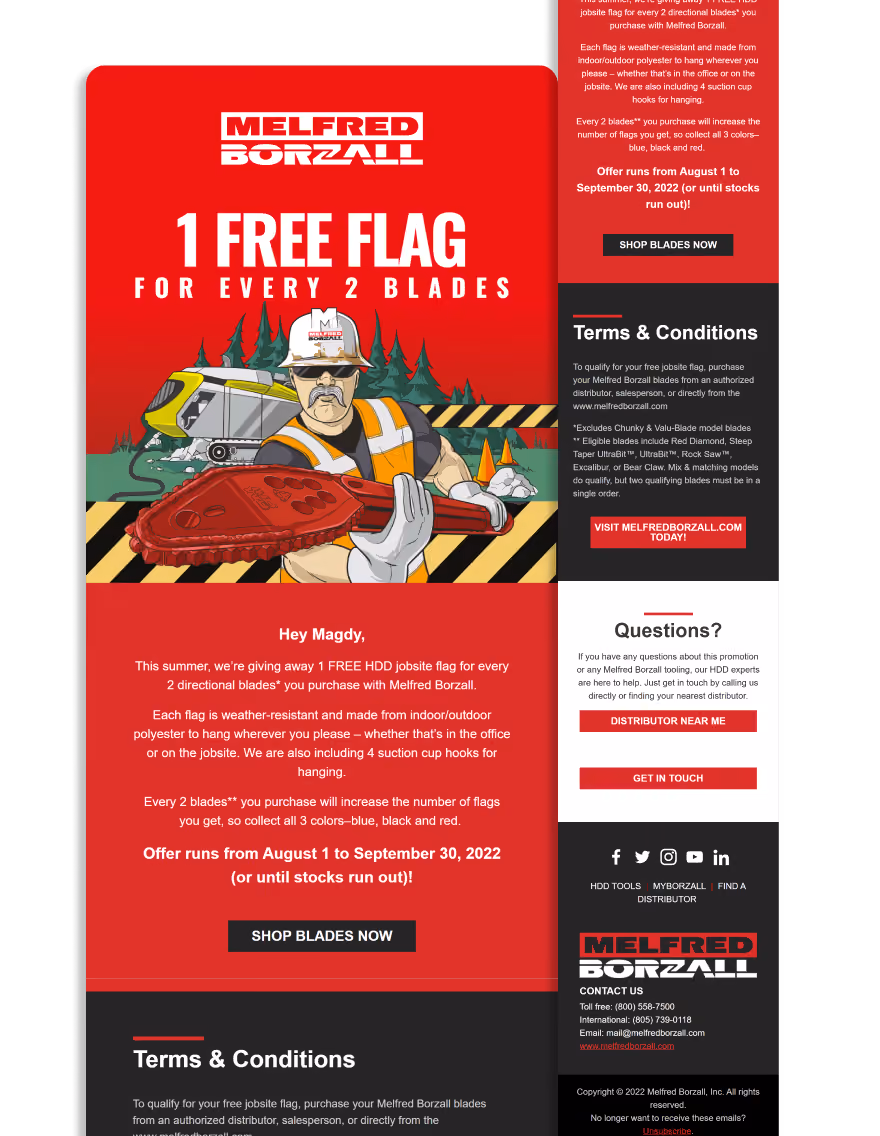 Melfred Borzall - Free Flag