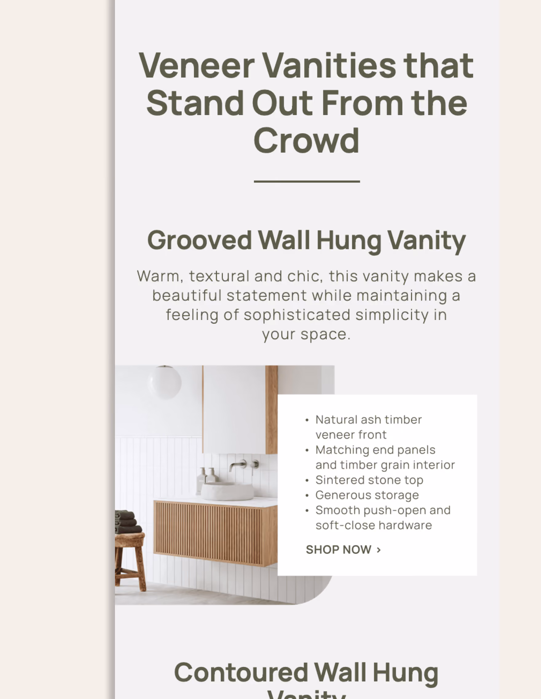 Veneers and vanities email campaign theme