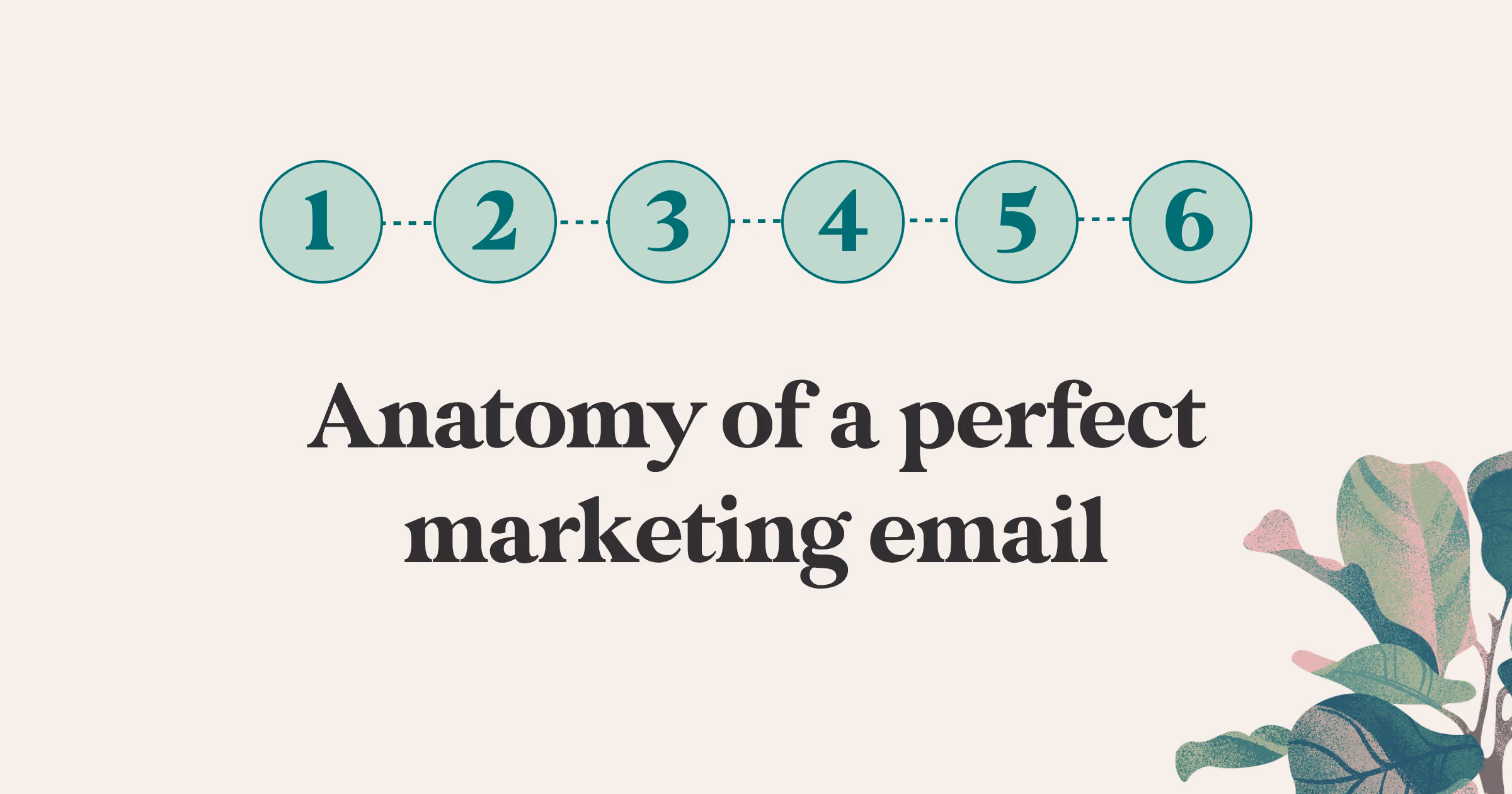 Outline anatomy of perfect marketing email