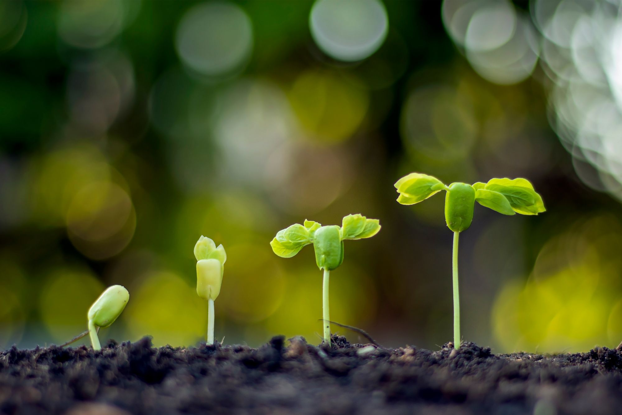 13 key email marketing KPIs to track for e-commerce growth