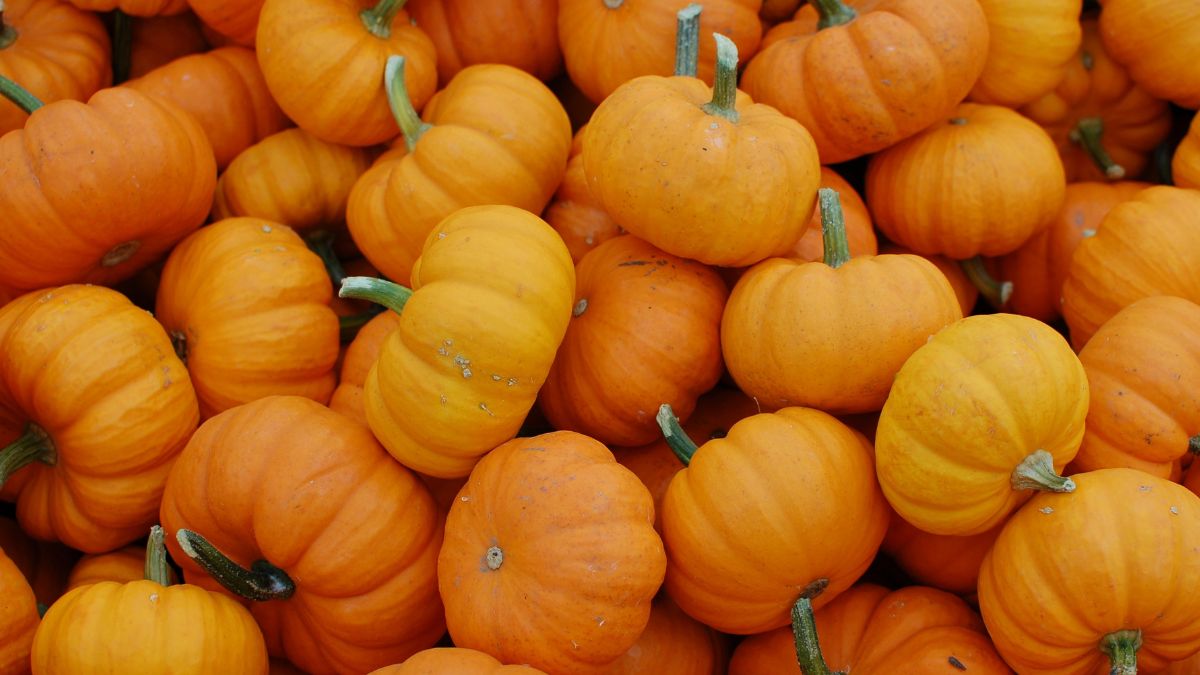 October email marketing campaigns for e-commerce brands