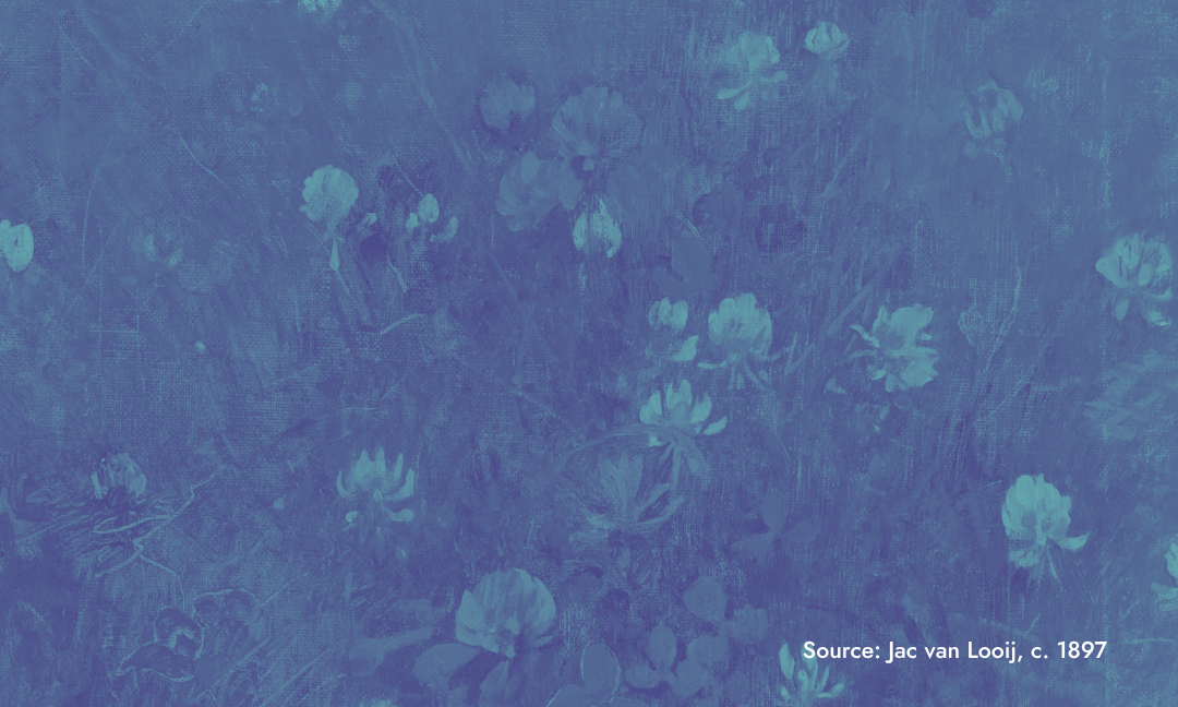 An illustration of flowers in a meadow.