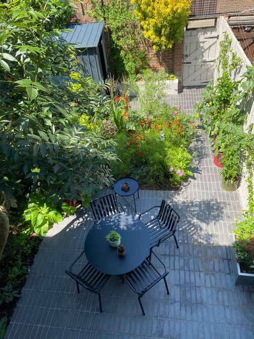 garden design by wild butterfly gardening