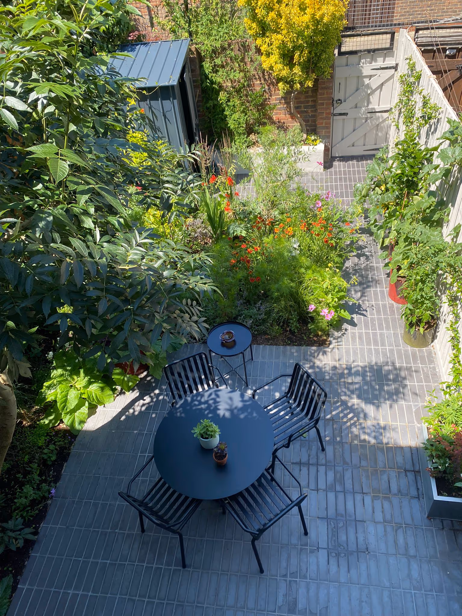 garden design service from wild butterfly gardening