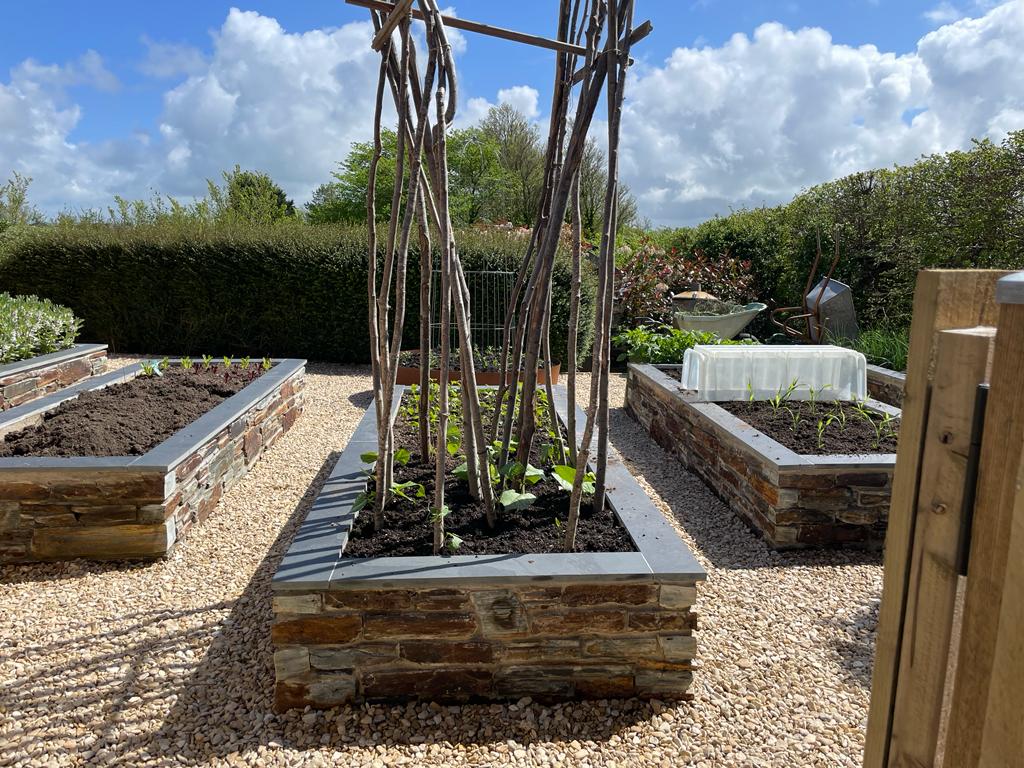 garden design by wild butterfly gardening