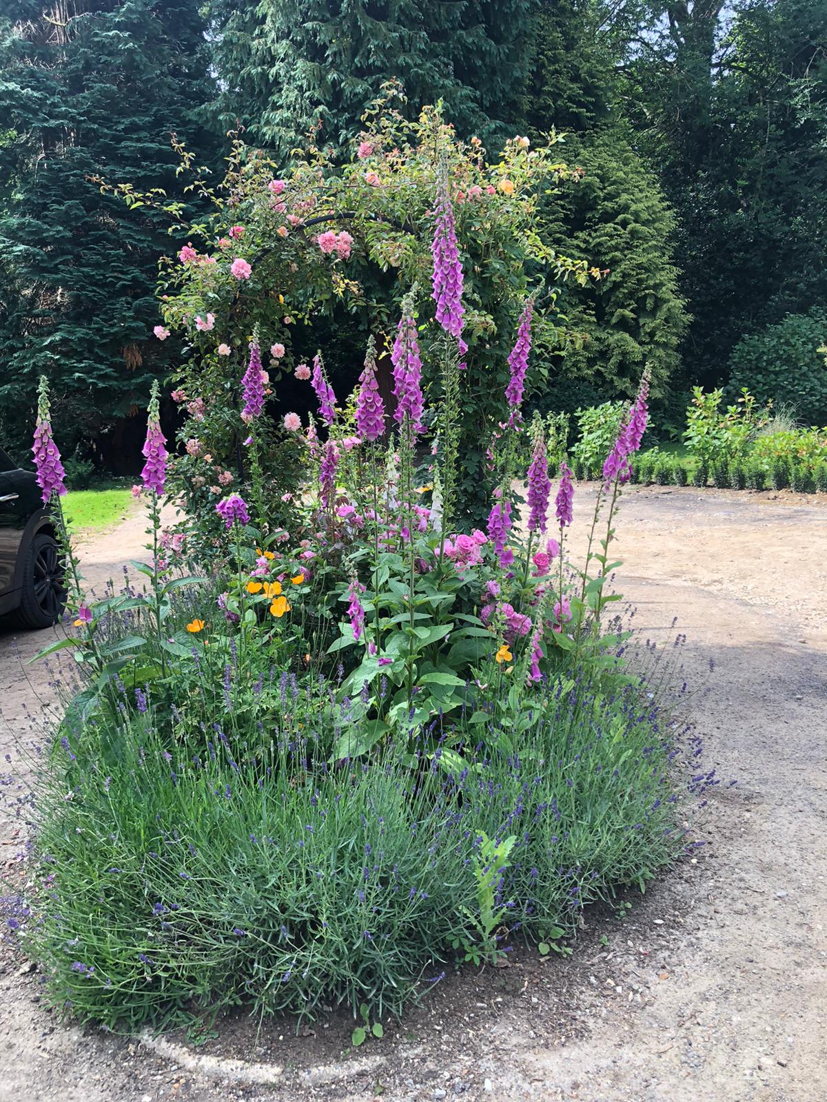 Wildlife pond and biodiversity features in Kent family garden