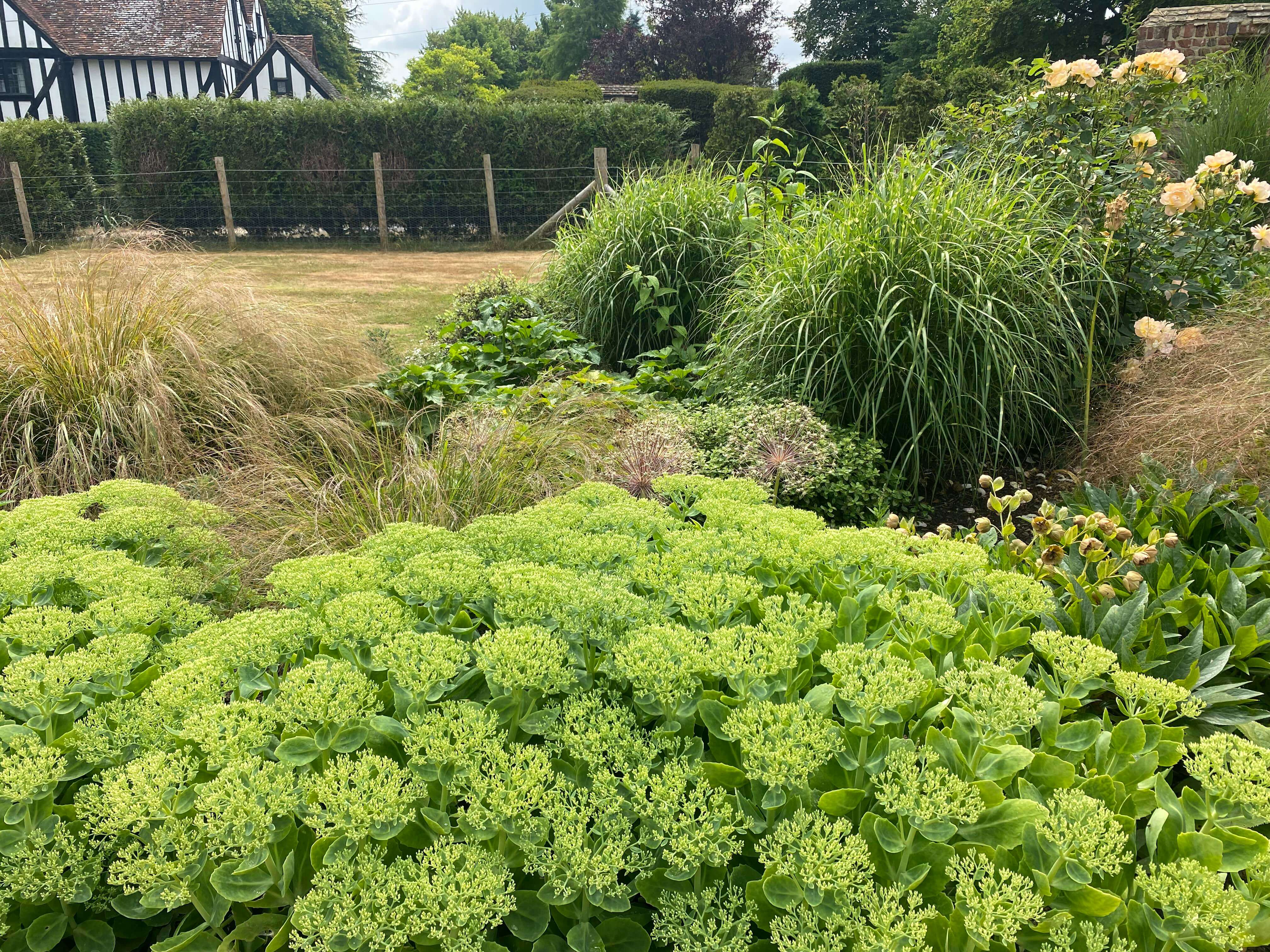 Large garden planting scheme in Surrey with bold perennial drifts and year-round colour