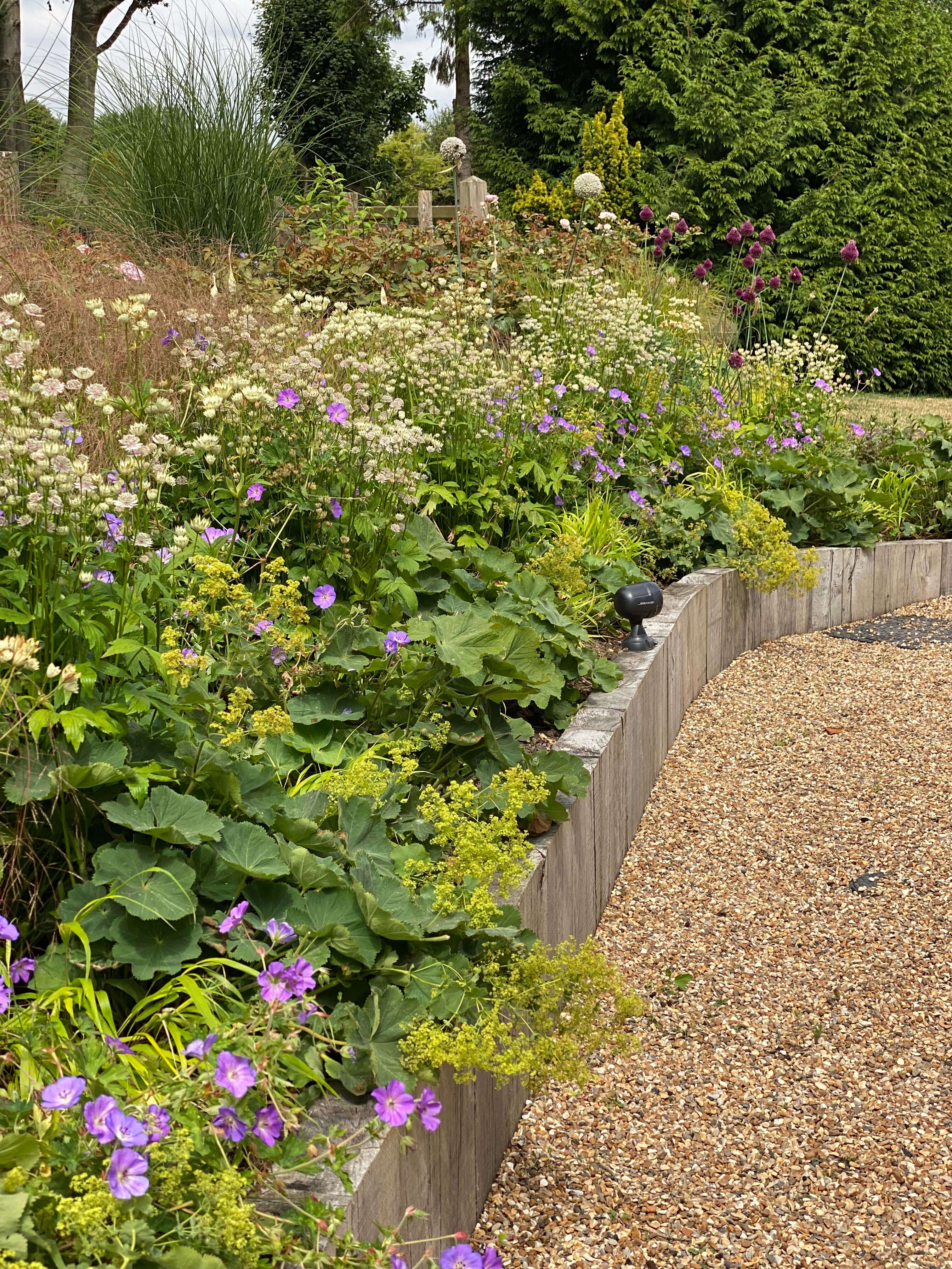 Mature planting borders showing seasonal interest in South East country garden
