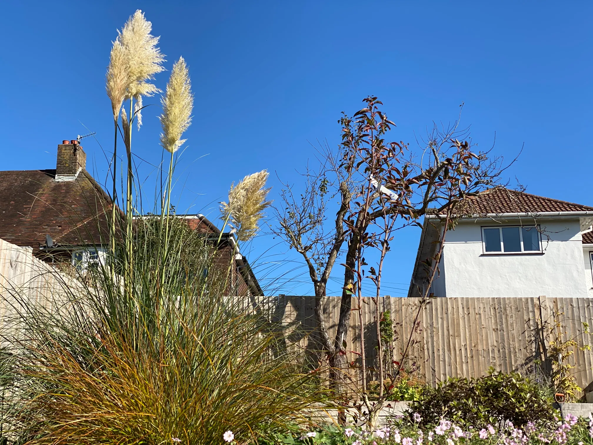 Terraced garden design in Sussex showing multiple outdoor levels and zones