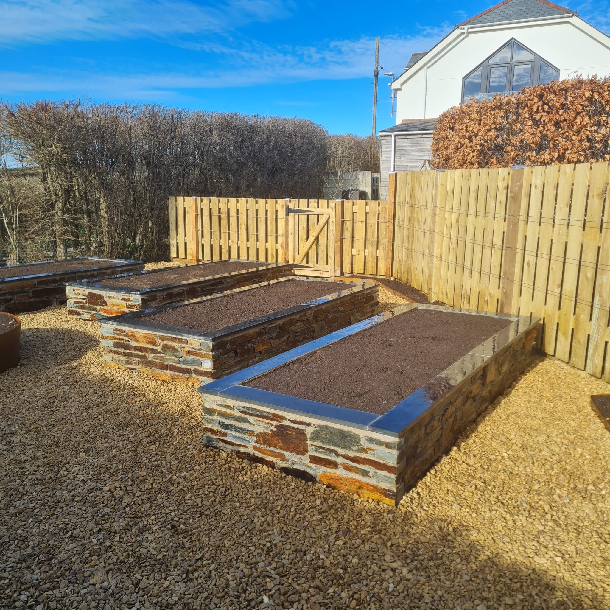 Mature vegetable growing in Cornwall kitchen garden beds