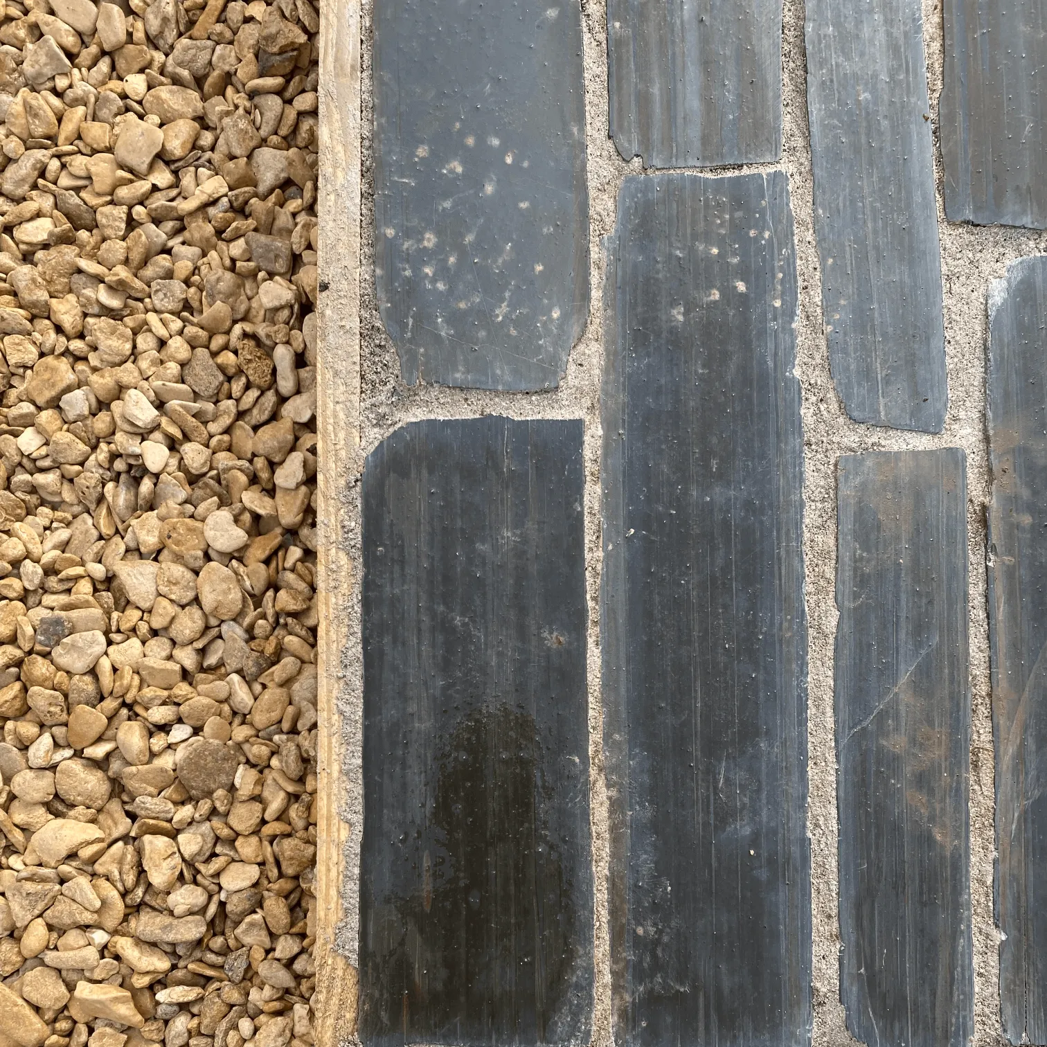 Companion planting and herbs in Cornish country kitchen garden