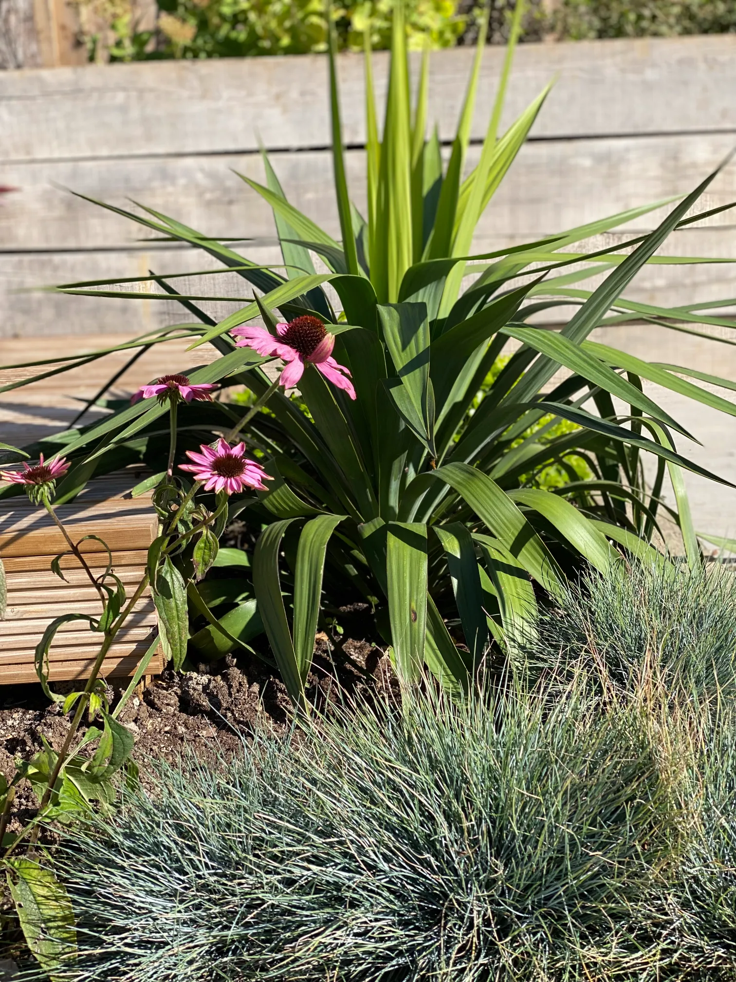 Wildlife-friendly perennial borders on sloping Sussex garden site