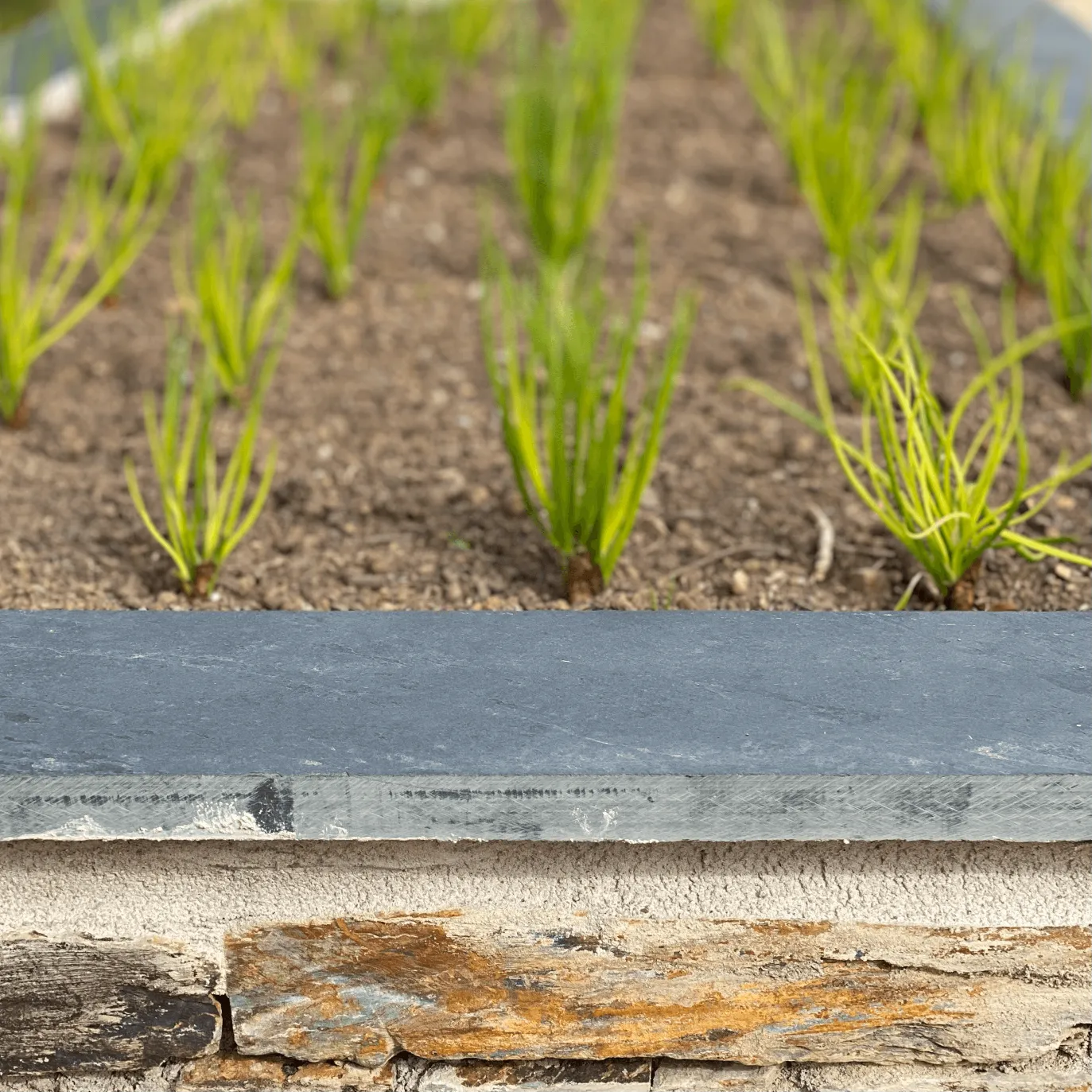 Bespoke circular planter as focal point in Cornish kitchen garden