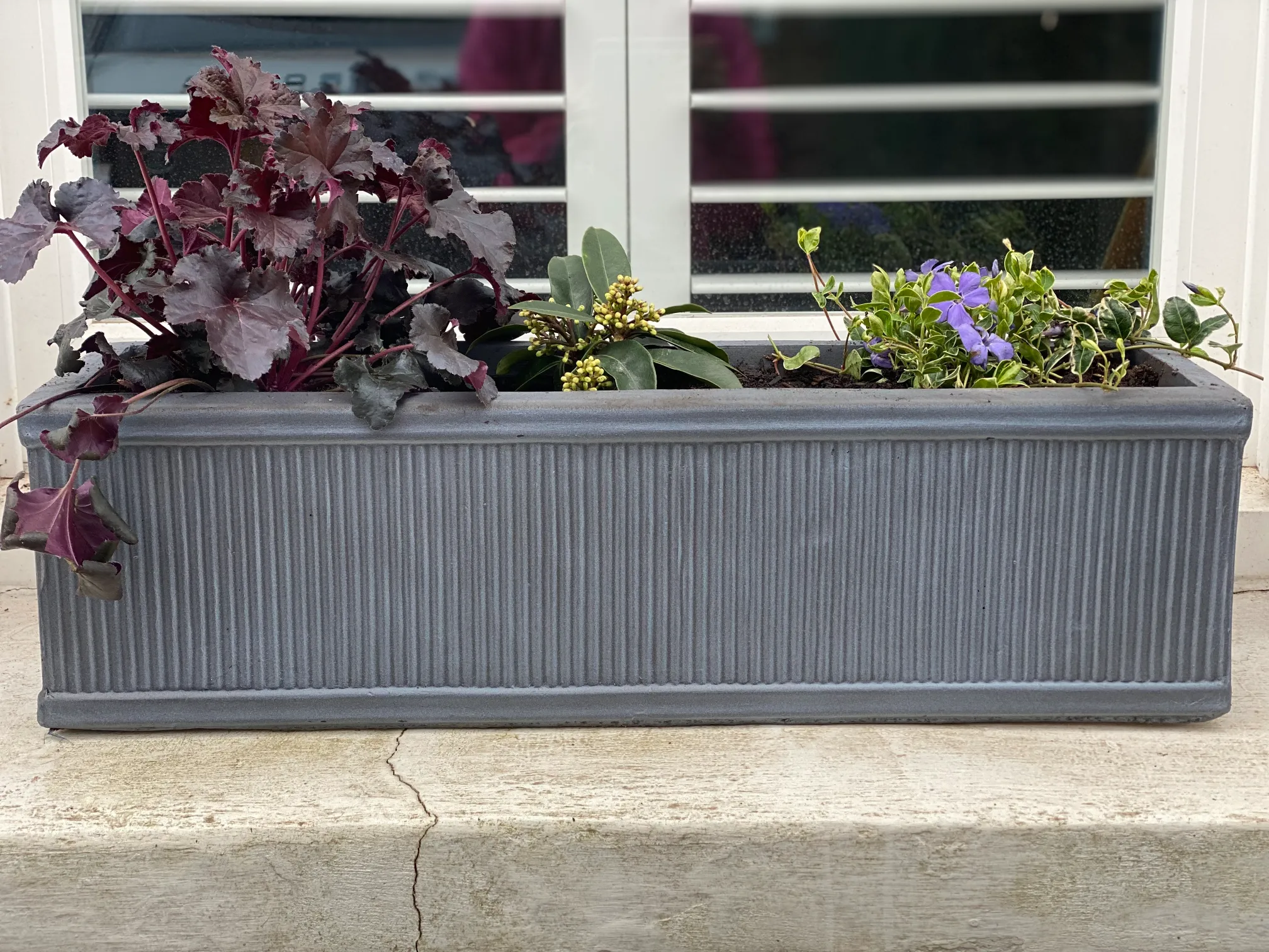 Contemporary container planting with ornamental grasses and perennials