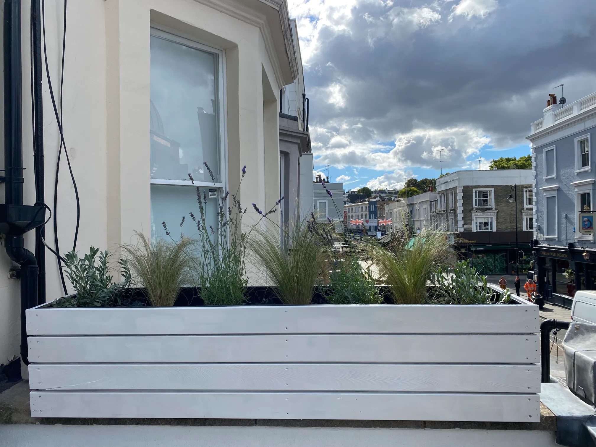 Wildlife-friendly container planting with pollinator-attracting flowers