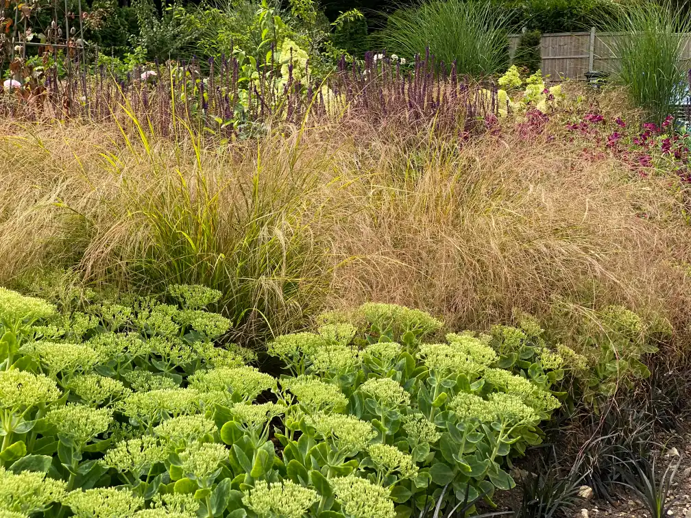 Country garden planting with romantic perennials and climbing roses