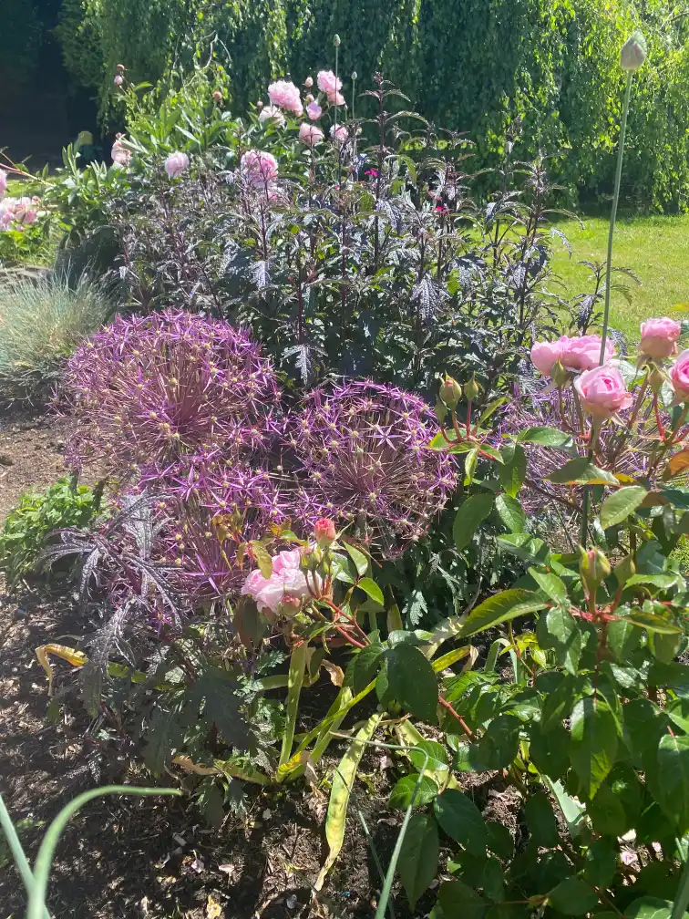 Wildlife-friendly border design with pollinator-attracting flowers
