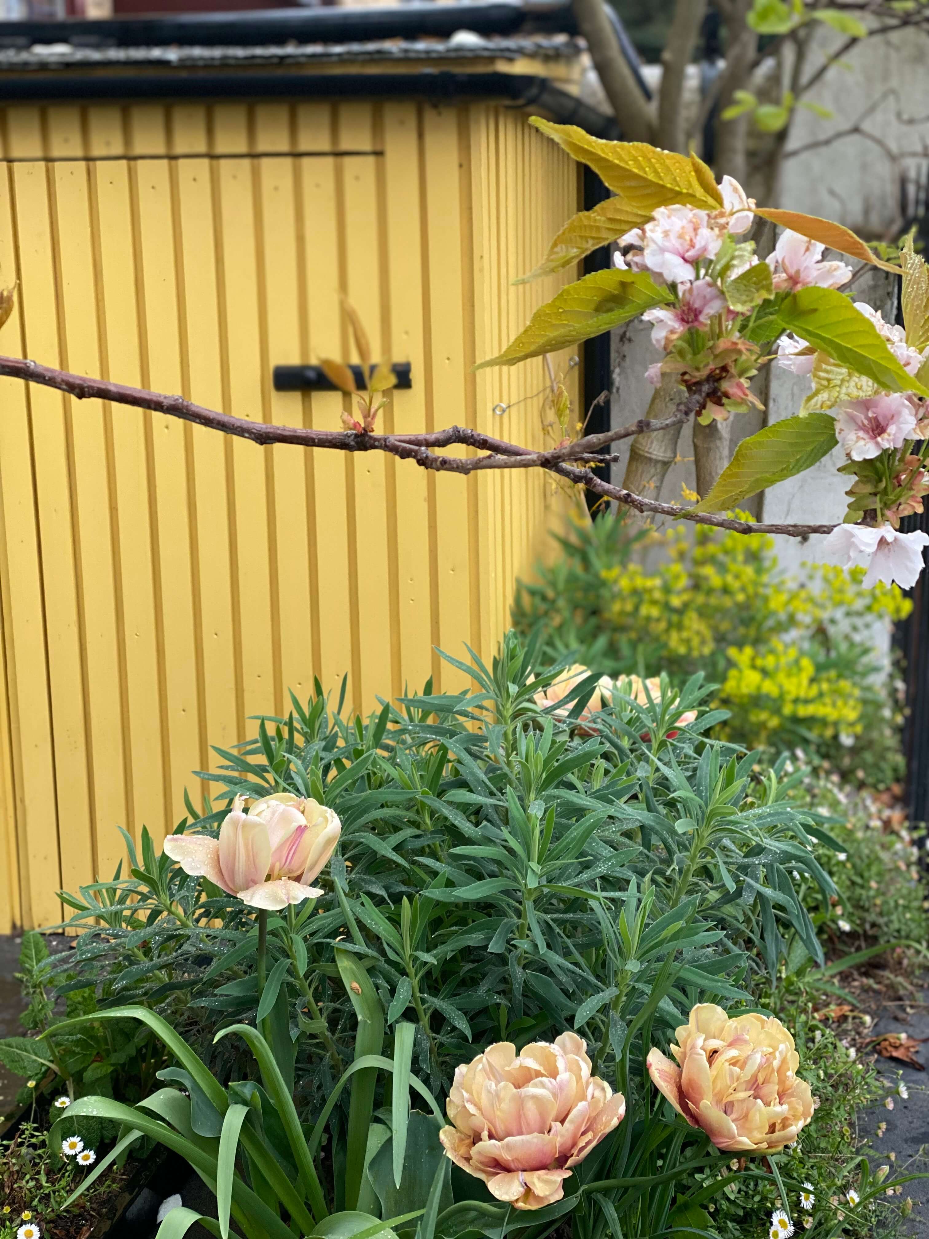 Large garden border with drifts of repeat planting for visual impact