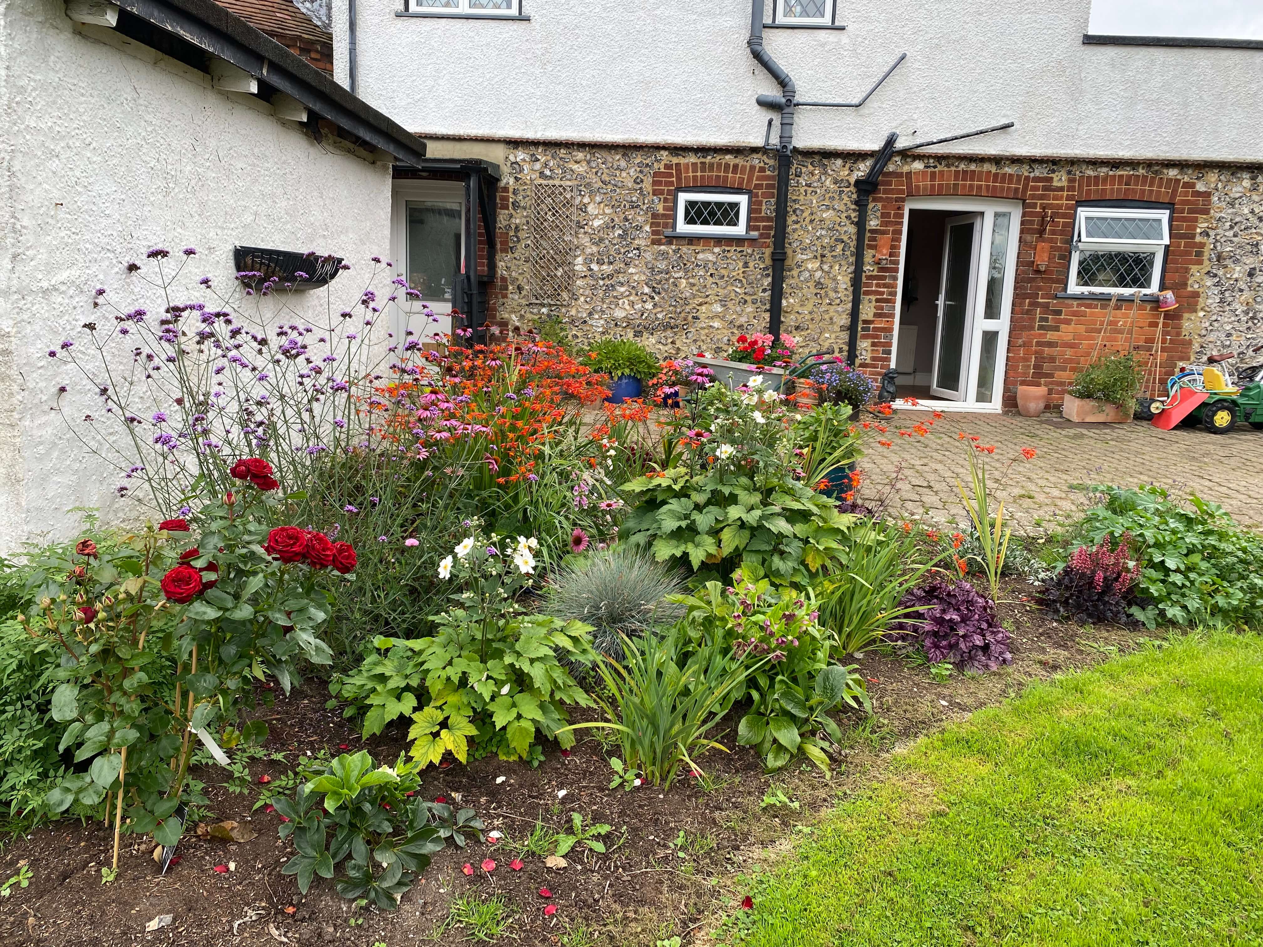 Meadow-style planting with native wildflowers and ornamental grasses