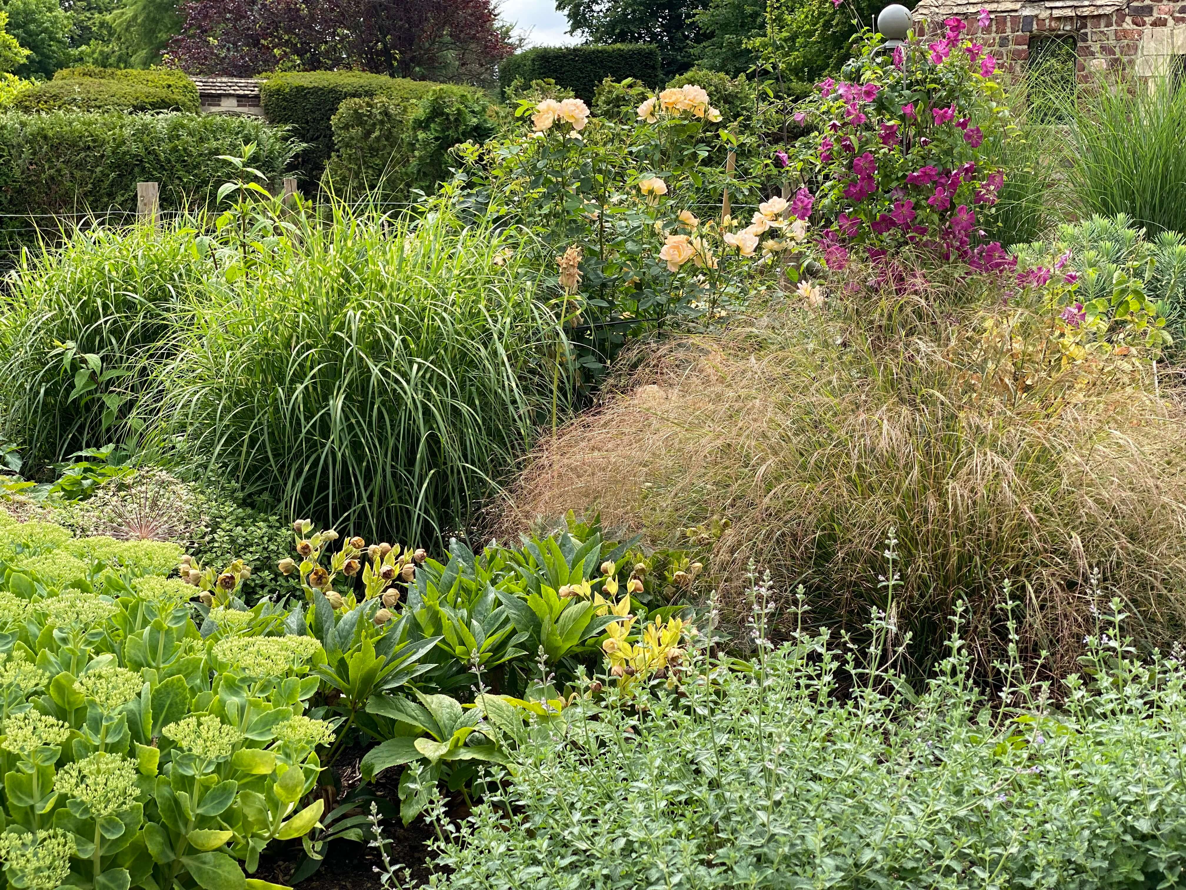 Professional planting plan implementation with quality nursery plants