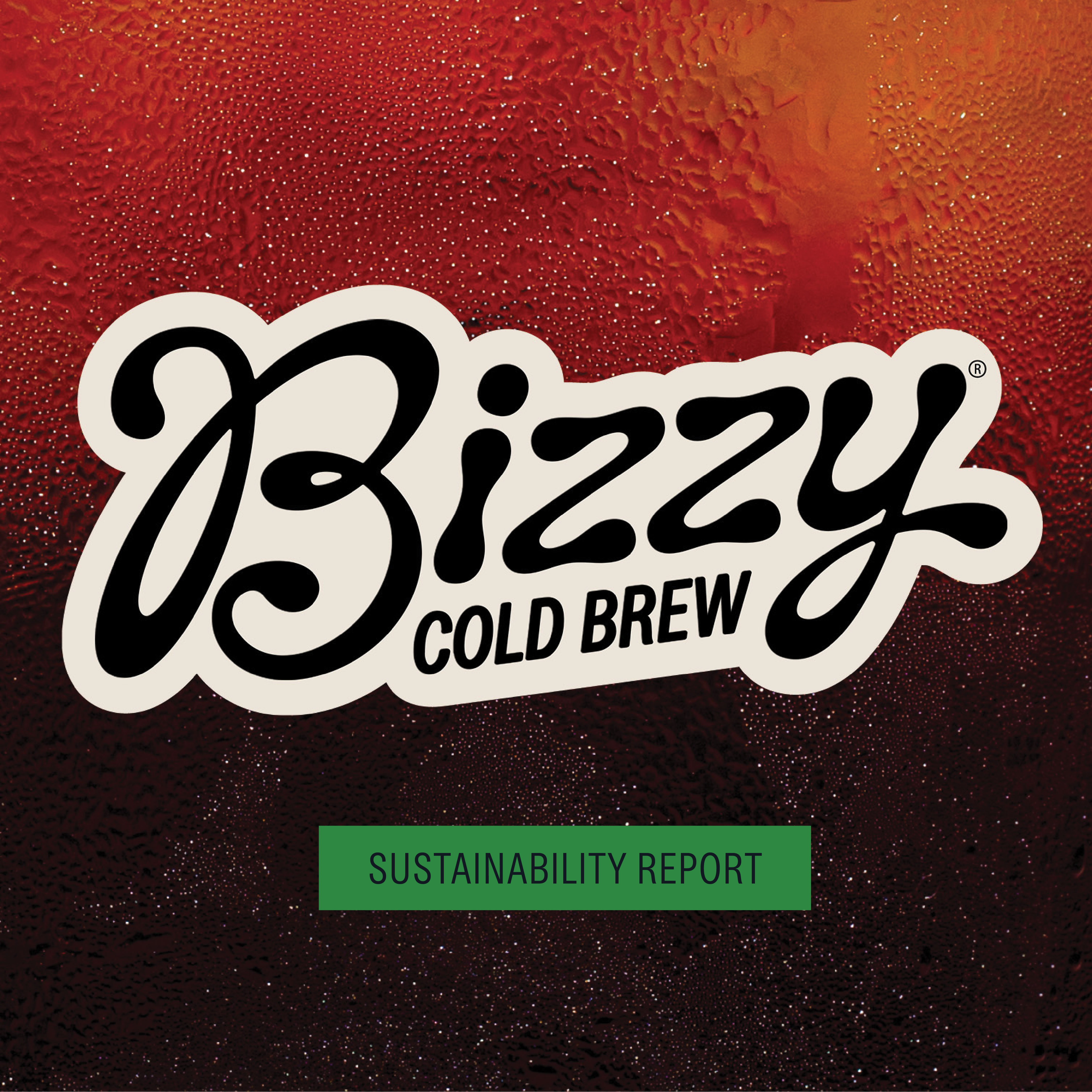 Bizzy Sustainability Report