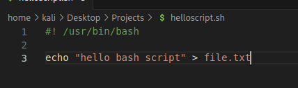 home > kali > Desktop > Projects > S helloscript.sh 2 3 /usr/bin/bash echo "hello bash script" > file. tx 