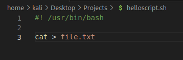 home > kali > Desktop > Projects > S helloscript.sh 2 3 /usr/bin/bash cat > file. txt 