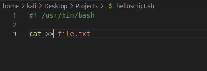 home > kali > Desktop > Projects > S helloscript.sh 2 3 /usr/bin/bash cat file. txt 