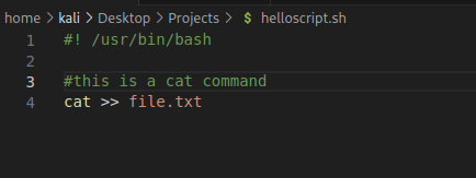 home > kali > Desktop > Projects > S helloscript.sh 2 3 4 /usr/bin/bash #this is a cat command cat >> file. txt 