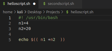 S helloscript.sh • $ secondscript.sh home > kali > Desktop > Projects > S helloscript.sh /usr/bin/bash 2 3 4 5 echo $(( ril +n2 