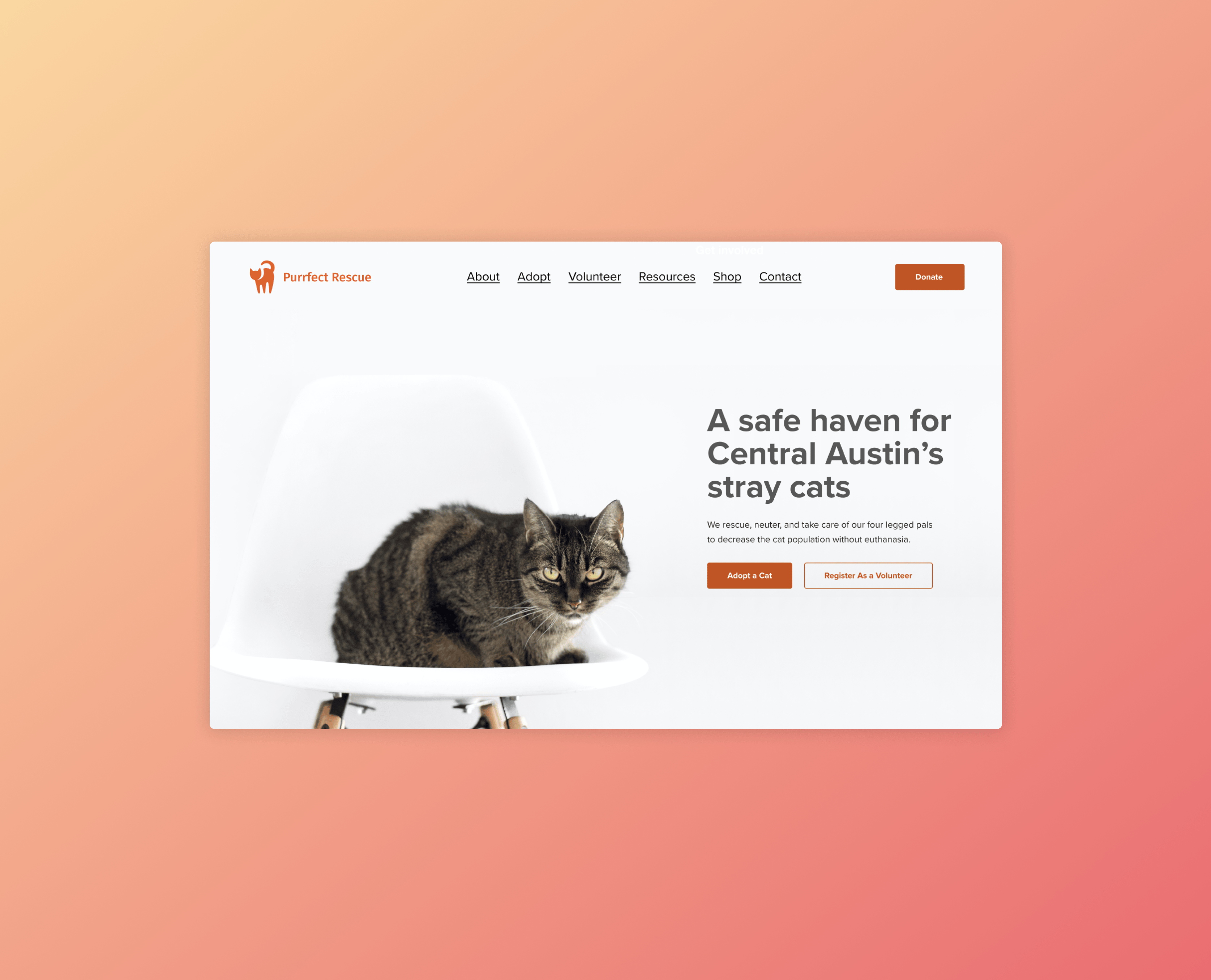 Homepage for the Trap-Neuter-Return program with information about their processes and call-to-actions