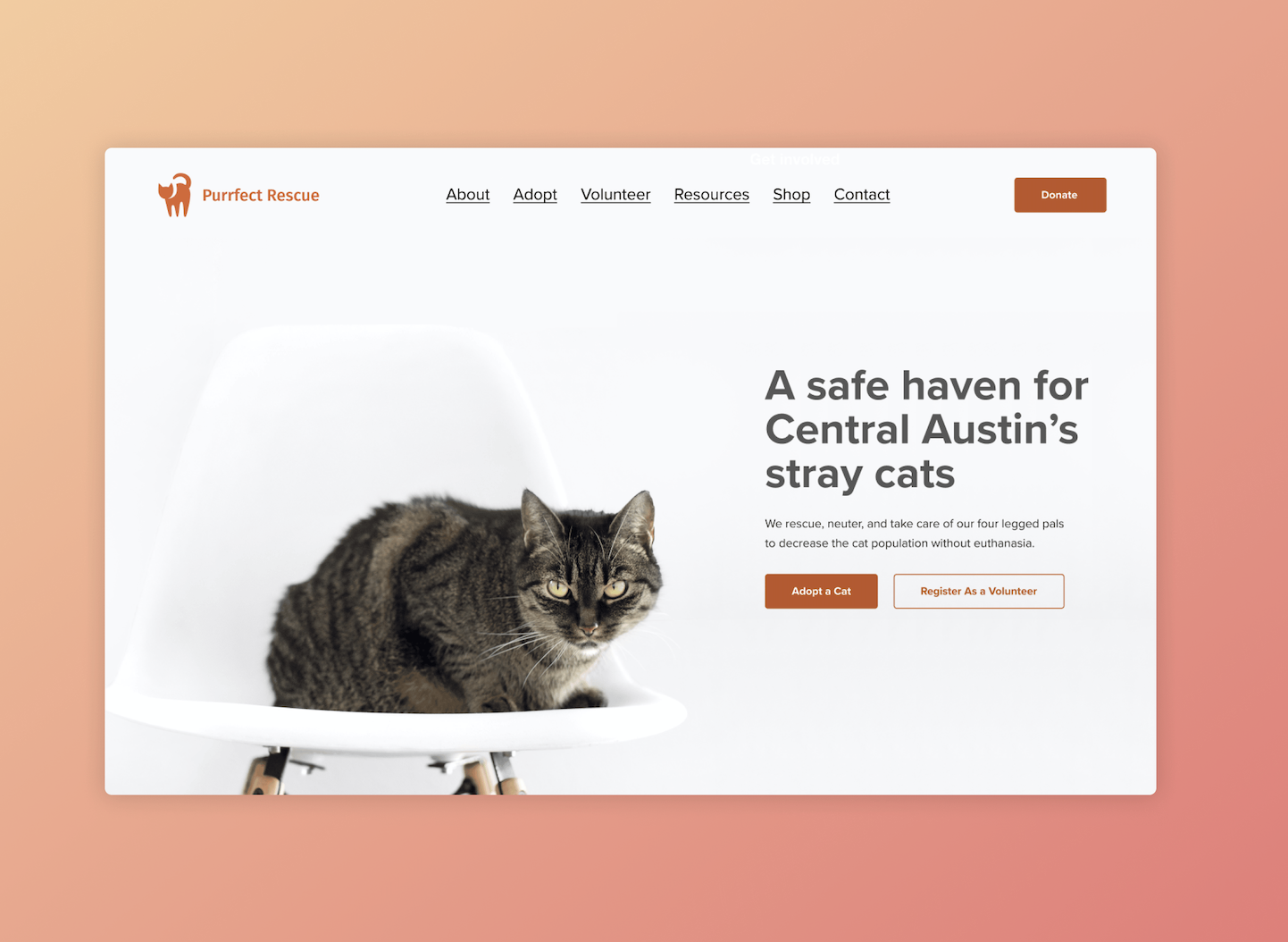 Homepage for the Trap-Neuter-Return program with information about their processes and call-to-actions