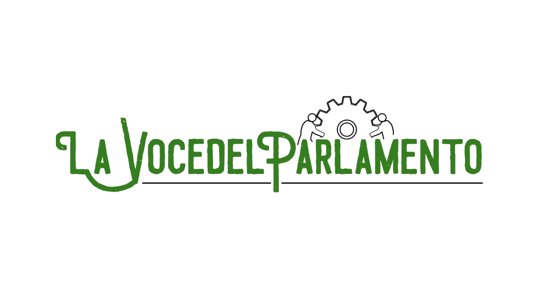 La voce del parlamento - Vanessa Angel entrepreneur