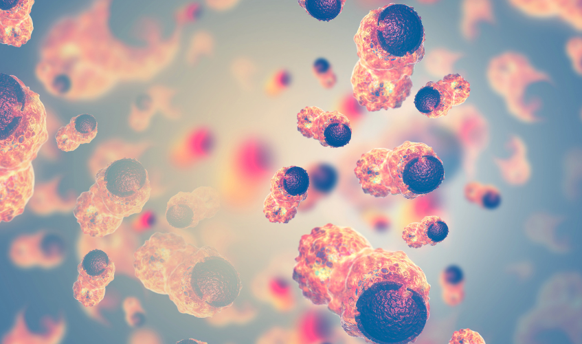 Service Details Image