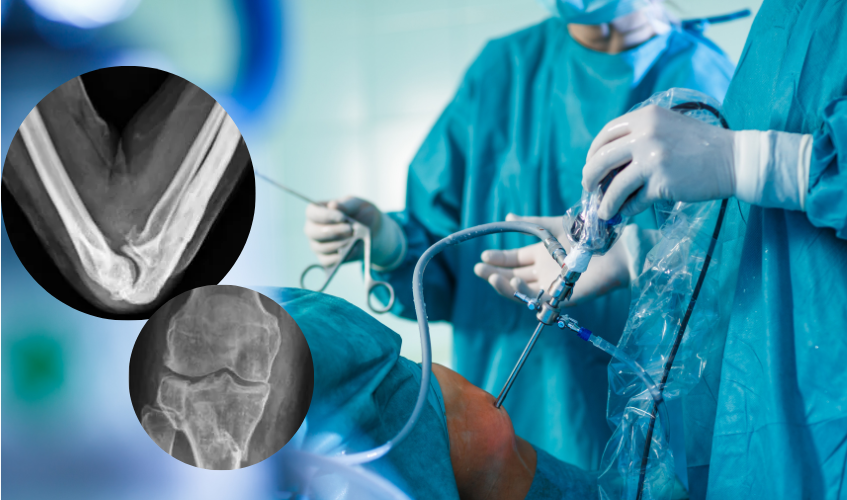 Service Details Image