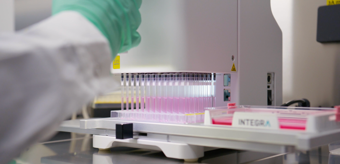 Multichannel pipette dispensing samples into a well plate