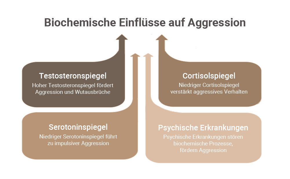 Beschreibung des Bildes