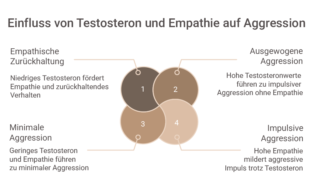 Beschreibung des Bildes
