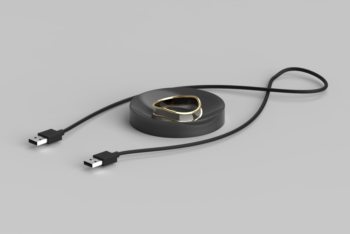 Render with charging base