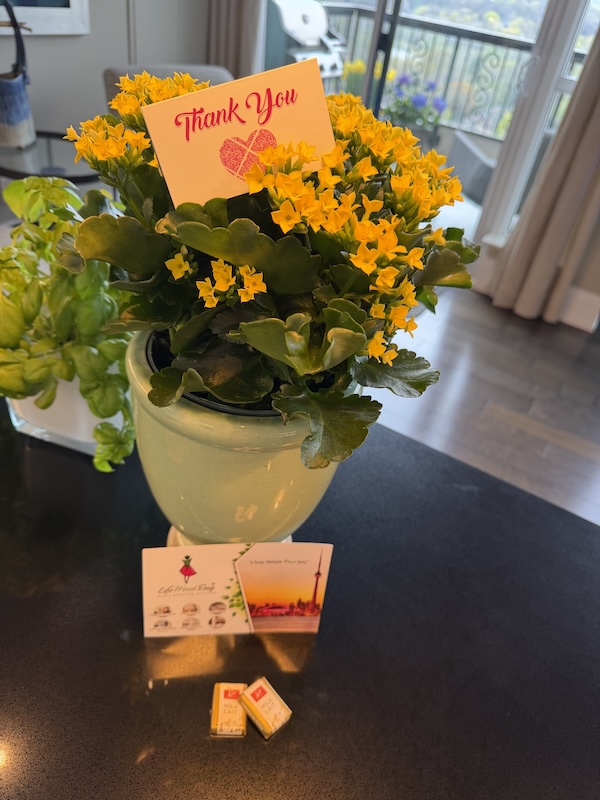 Life Maid Easy thank you card after a professional home cleaning service