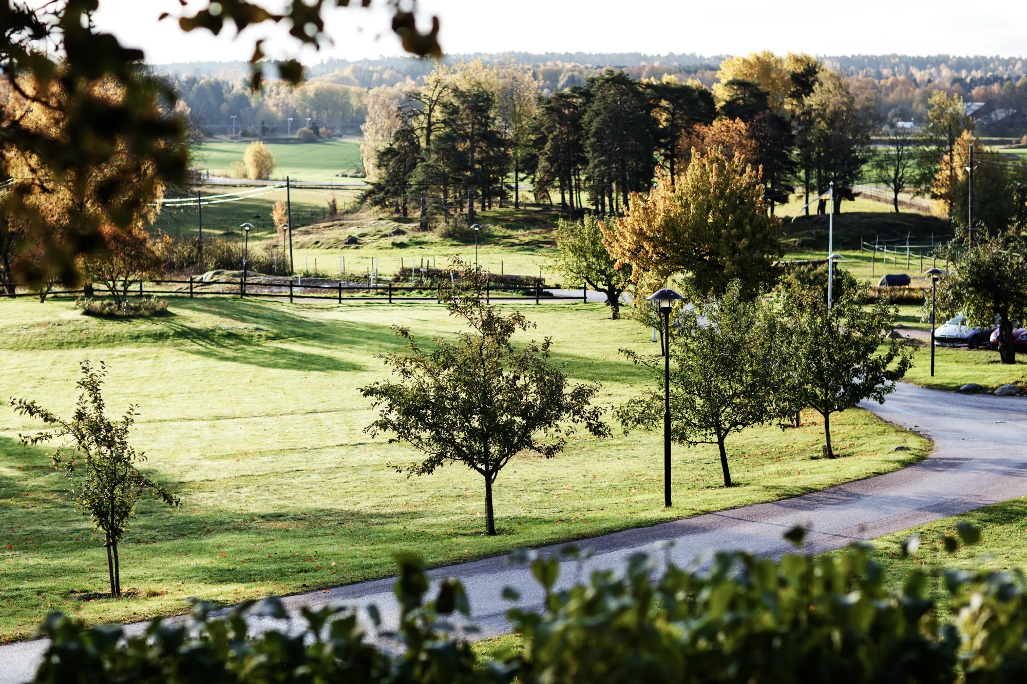 Utforska Såstaholms runprydda hagar med en spännande tipspromenad. 