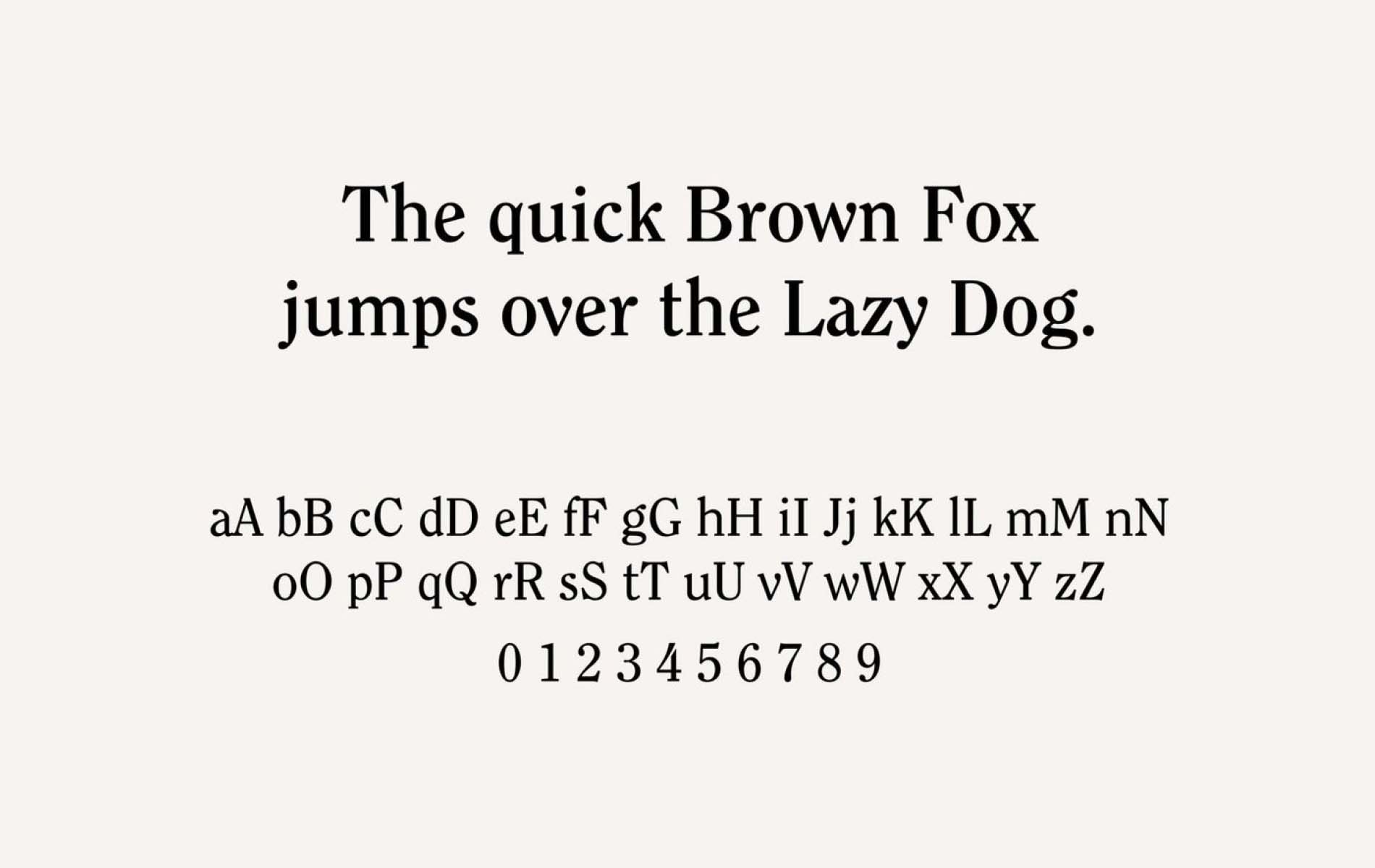 The Type showcase used for the Clyde Brand Identity Design