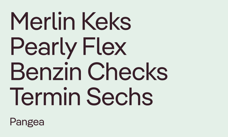 Typography details of the RASMO corporate identity.