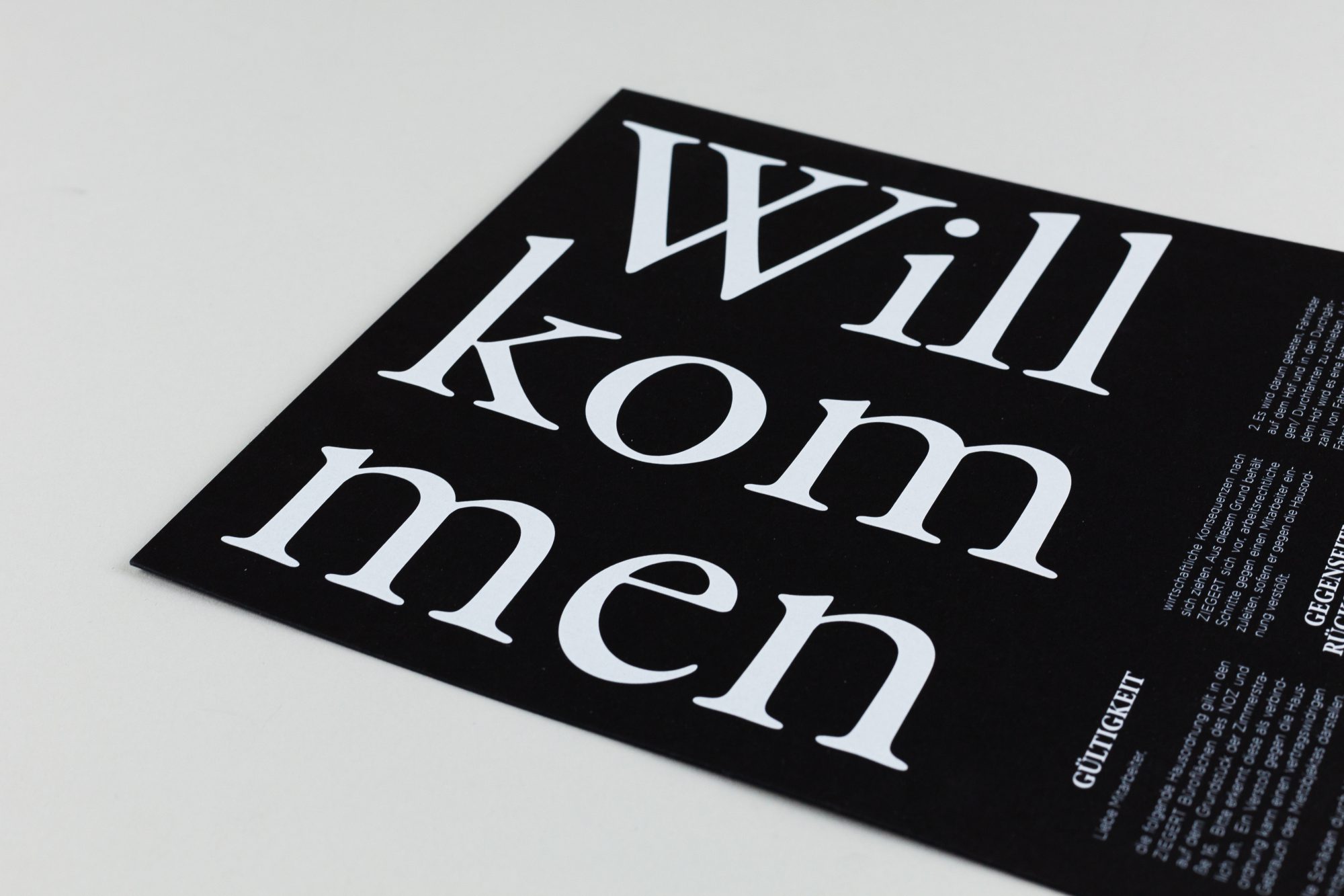 A close up on the branding and graphic design for the Ziegert Welcome Pack.